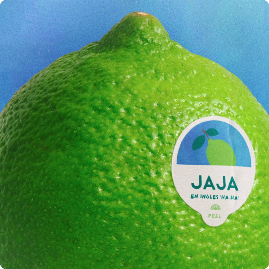 jaja_04