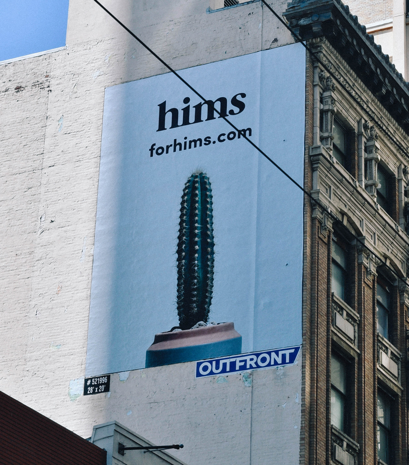 matthew-haysom-creative-director-gin-lane-branding-hims-hairloss-visual-identity-digital-health-products-dtc-design-16