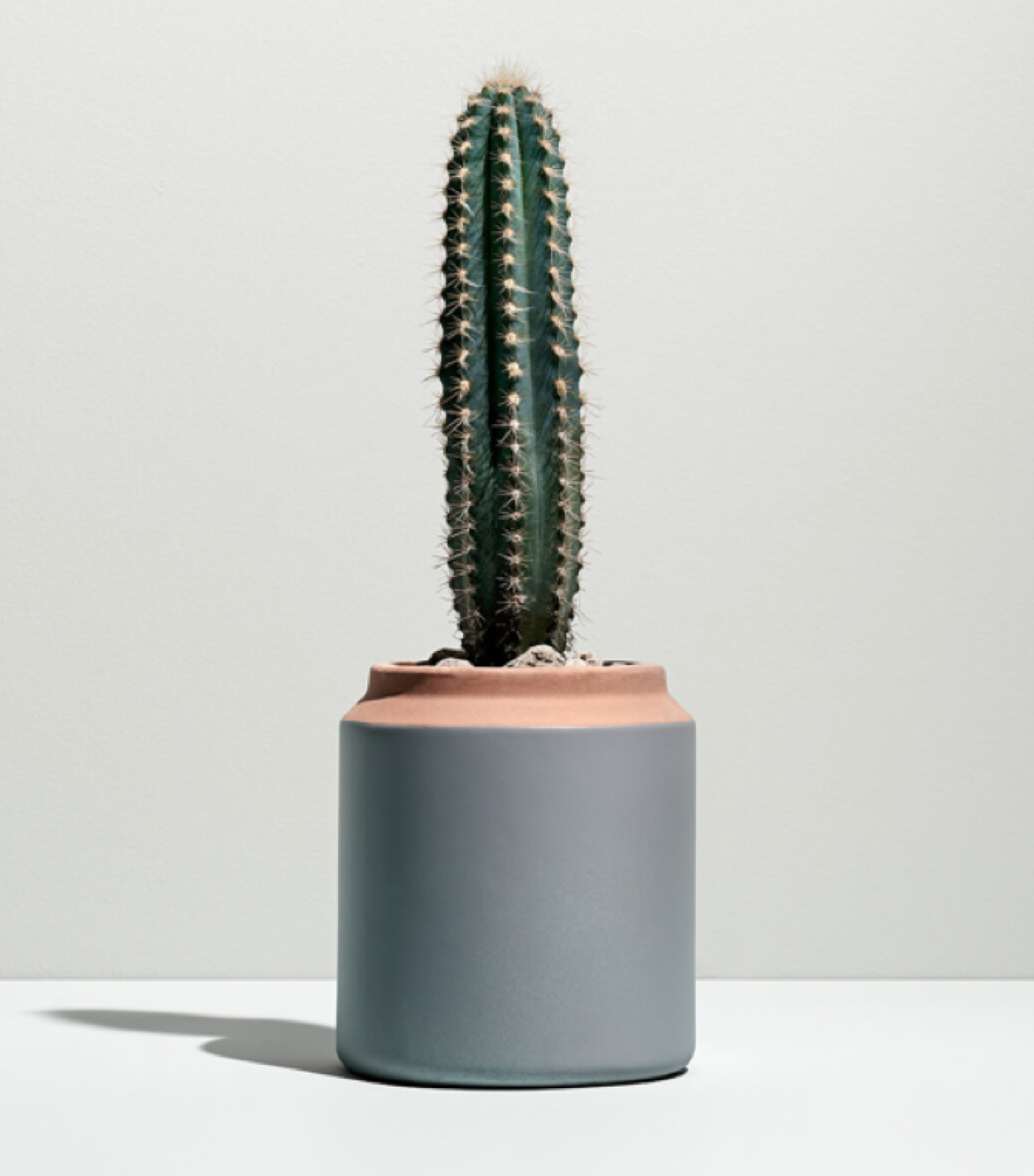 matthew-haysom-creative-director-gin-lane-branding-hims-hairloss-visual-identity-digital-health-products-dtc-design-17