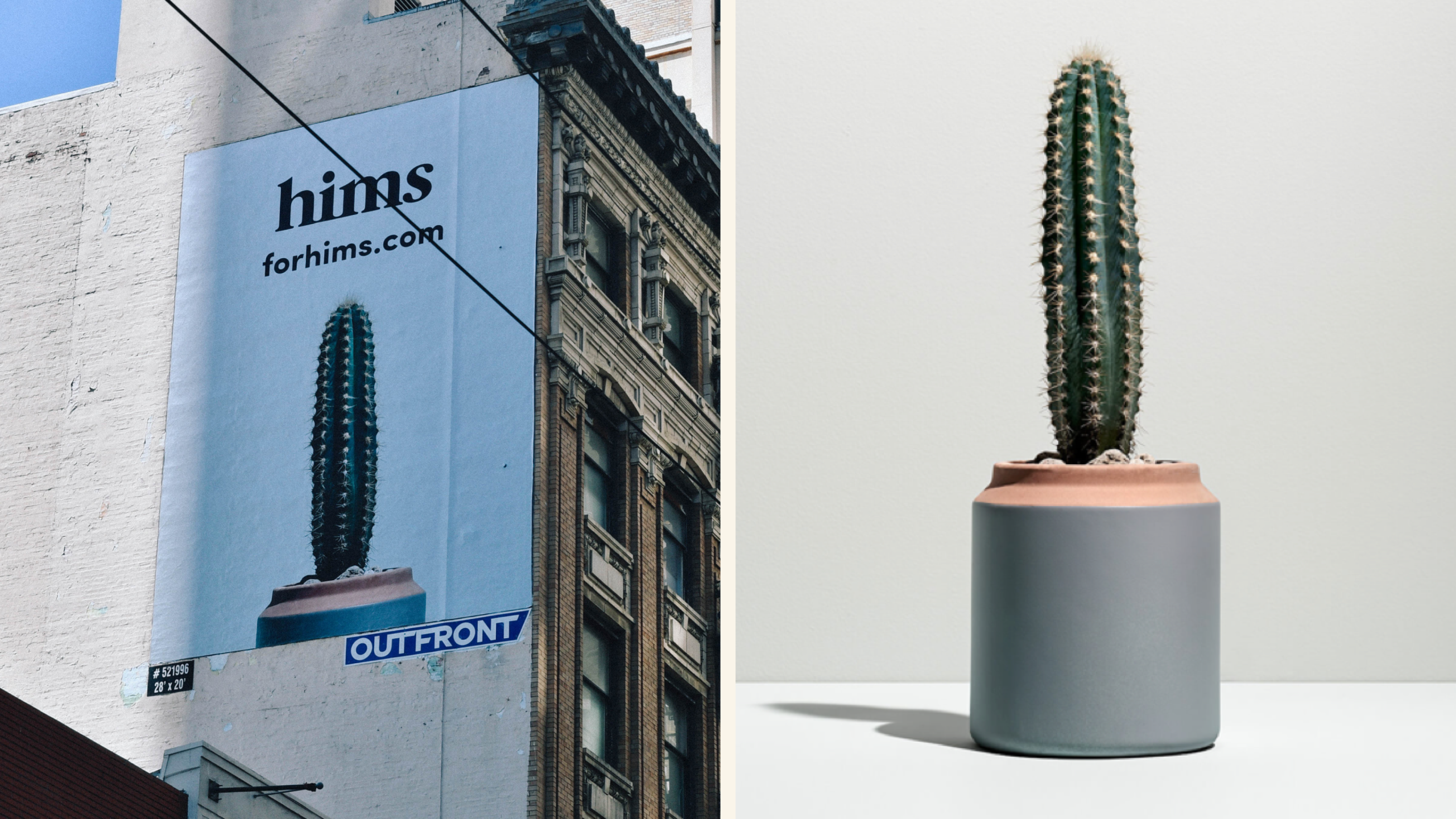 Hims outdoor advertising campaign featuring a cactus in a grey planter on a pale blue billboard.